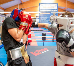 Перчатки боксерские AdiSpeed Metallic красно-золото-серебристые adiSBG501ProM