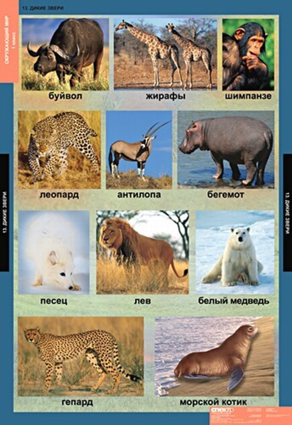 Комплект таблиц "Окружающий мир 1 кл."; 15 таблиц