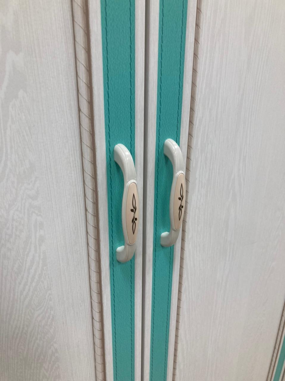 Шкаф Миндаль 06.55 аруша венге/кожа мята