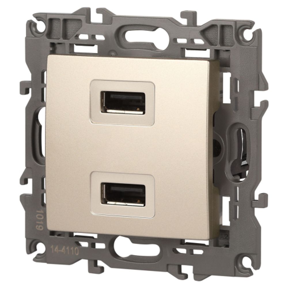 14-4110-04 ЭРА Устройство зарядное USB, 230В/5В-2100мА, IP20, Эра Elegance, шампань