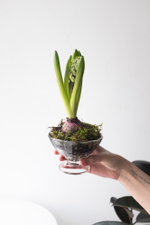 Серия Винтаж. Первоцветы в хрустале S