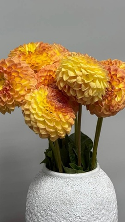 Букеты - комплименты