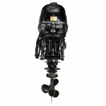 ЛОДОЧНЫЙ МОТОР GLADIATOR G30FES