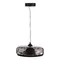 SL6014.403.01 Светильник подвесной ST-Luce Черный/Черный, Дымчатый LED 1*42W 3000K РИПЛ