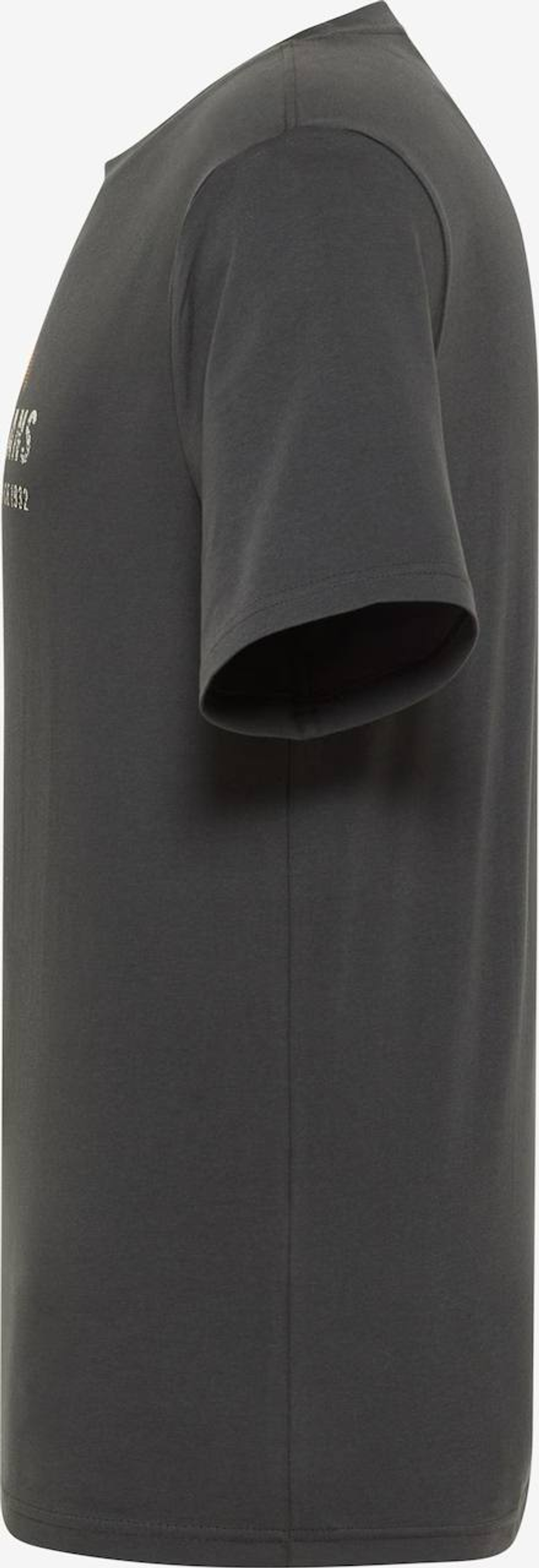 Футболка мужская MUSTANG Style Austin