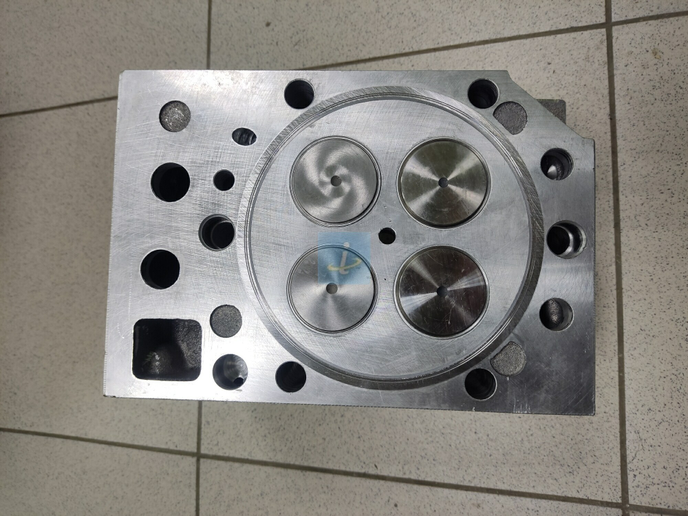 Головка цилиндров с клапанами 840.1003010-20