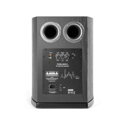 Сабвуфер Premiera DS-10SA