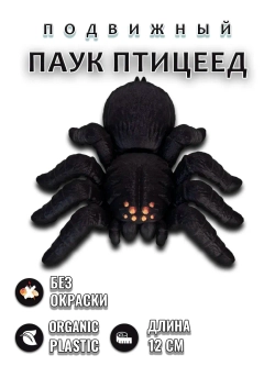 Паук