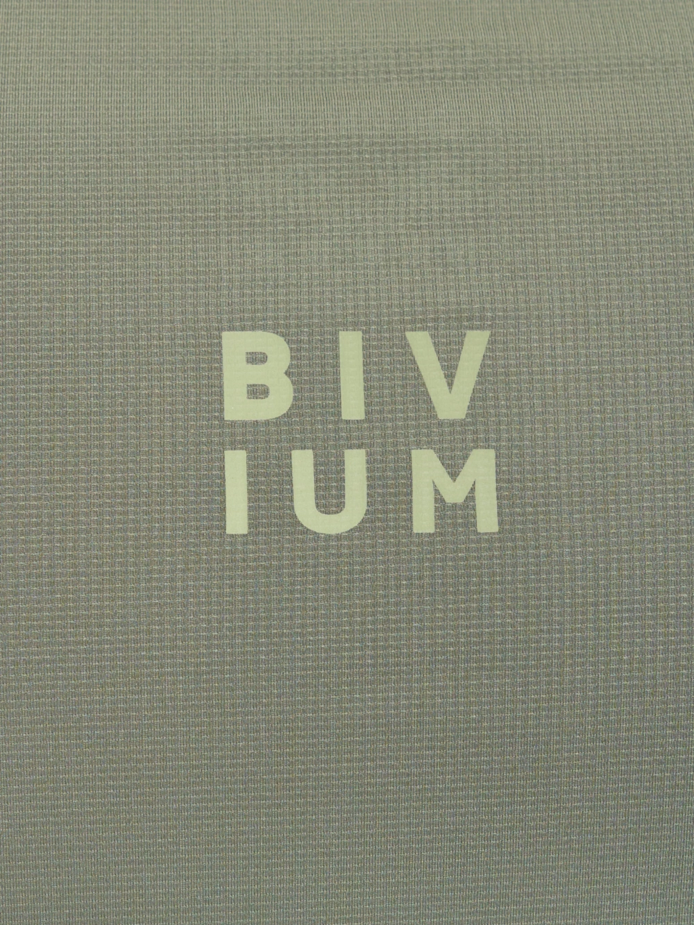 Лонгслив мужской BIVIUM Путь
