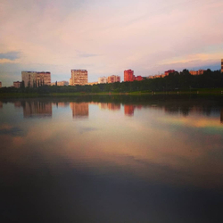 Грифон
