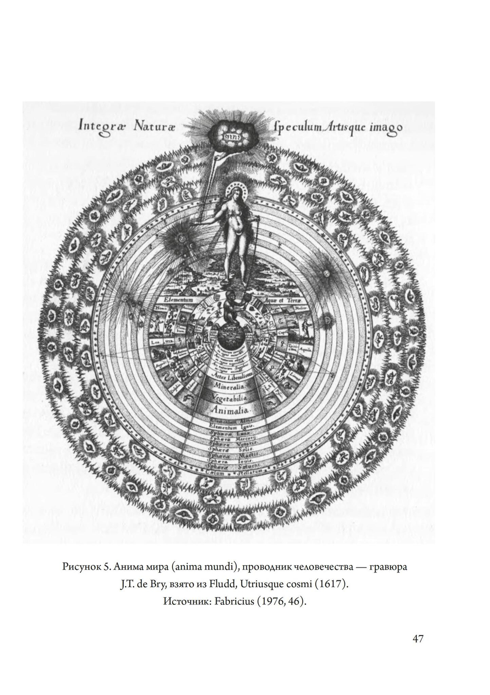 Огонь в Камне: алхимия желания (PDF)