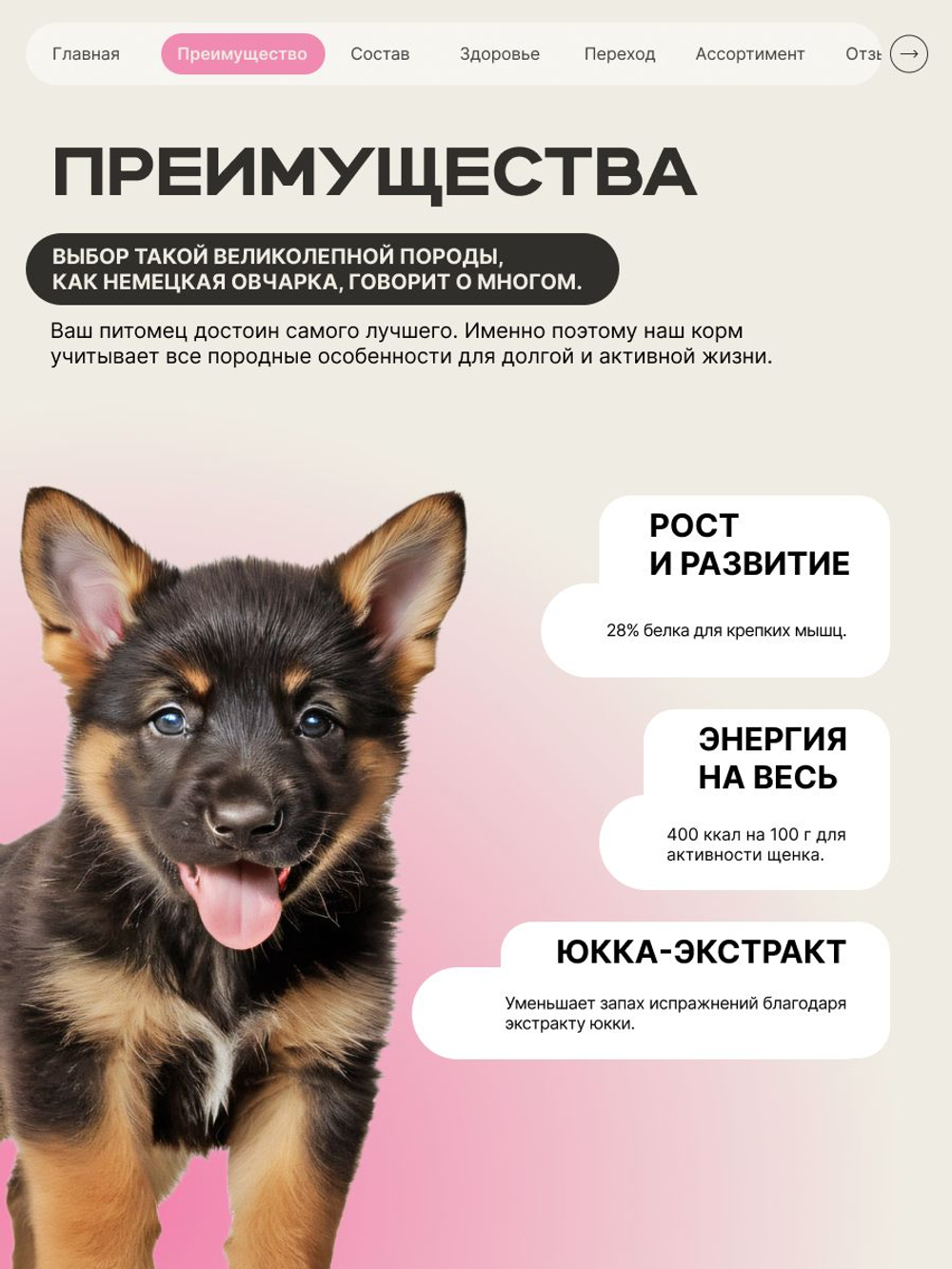 Корм сухой для щенков породы Немецкая овчарка, с говядиной, 3 кг, QUATTRO
