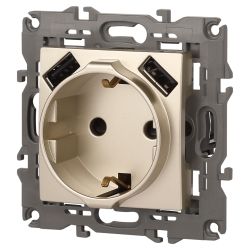Розетка ЭРА Elegance 14-4109-04 2P+E 16A-250В штор. с 2xUSB 5В-3А шампань | Эра Elegance
