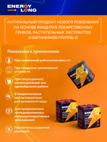 Энерджи Лонг (Energy Long) (50 мл) 6 Флаконов Способствует восстановлению клеток головного мозга, повышению стрессоустойчивости, поддержанию бодрости и жизненной энергии
