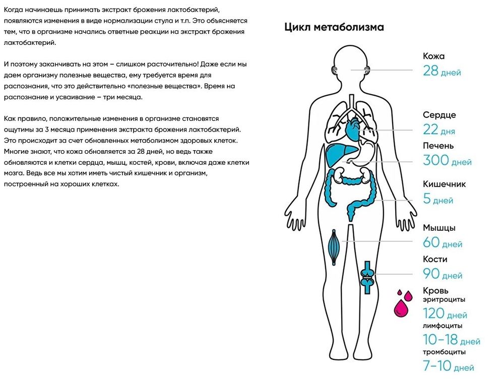 DIAGO Метабиотик Daigo (упаковка: 30 саше по 5 мл)