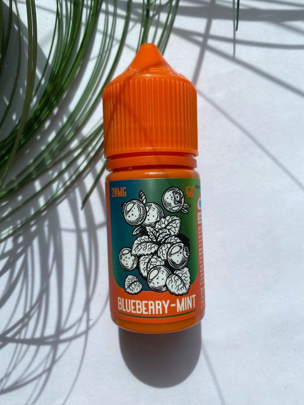 Blueberry Mint by RELL Salt 30мл