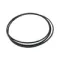 Music Hall MMF-11 Belt