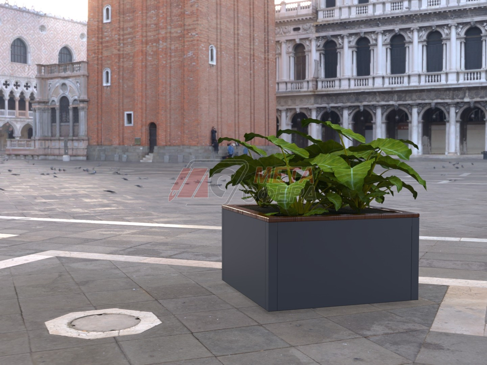 Вазон Гарда