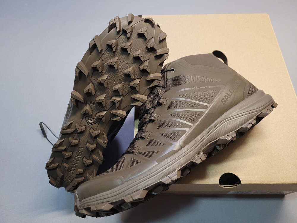 Ботинки Salomon SPEED ASSAULT 2 GTX - Ebrown