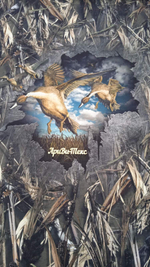 Футер (купон). Утки (короткий)