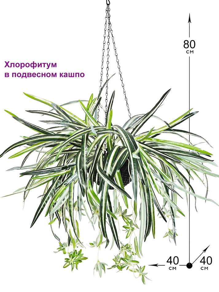 Искусственное растение Хлорофитум в подвесном темном кашпо