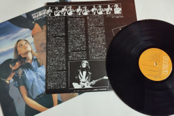 Винтажная виниловая пластинка LP Scorpions Animal Magnetism (Japan 1980) (No Obi)