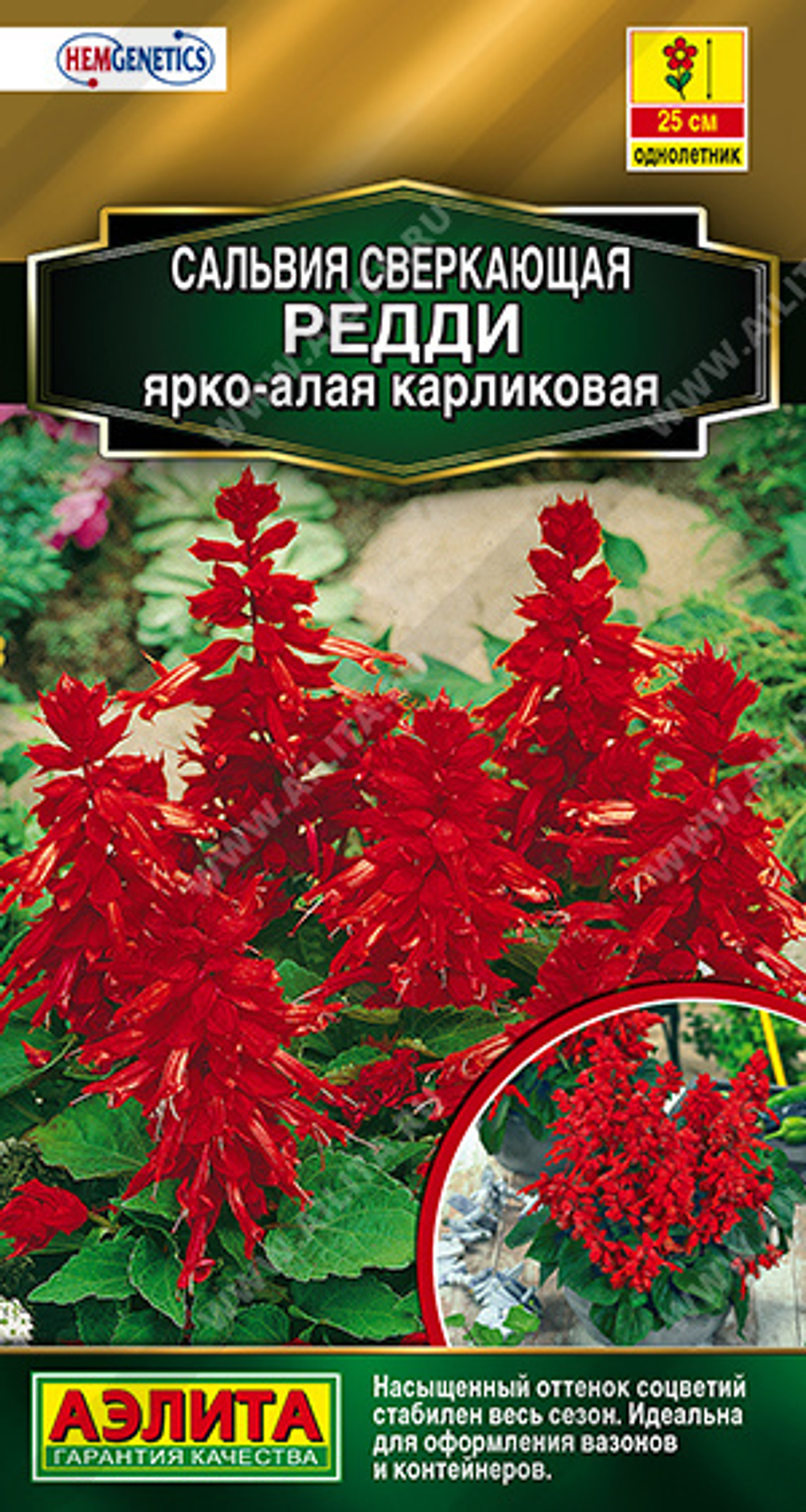 Сальвия Редди ярко-алая карликовая 7шт Аэлита