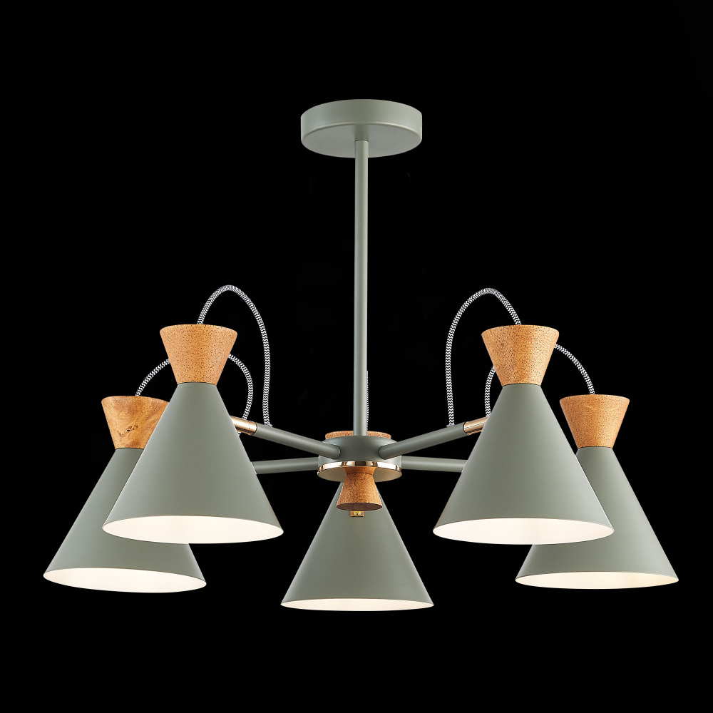 Светильник потолочный Evoluce Modica SLE125112-05