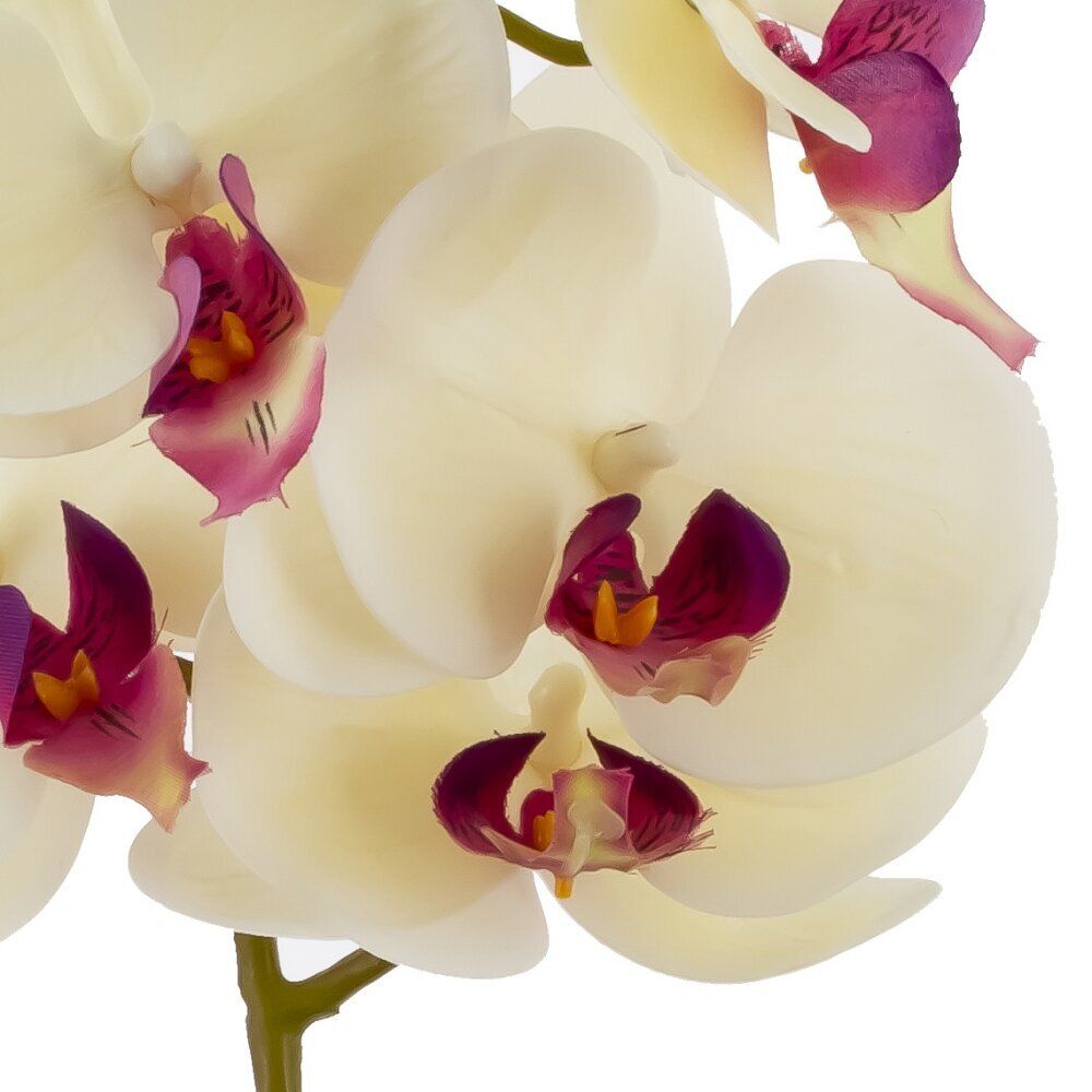 GAEM Цветочная композиция "Орхидея", L18 W15 H34 см