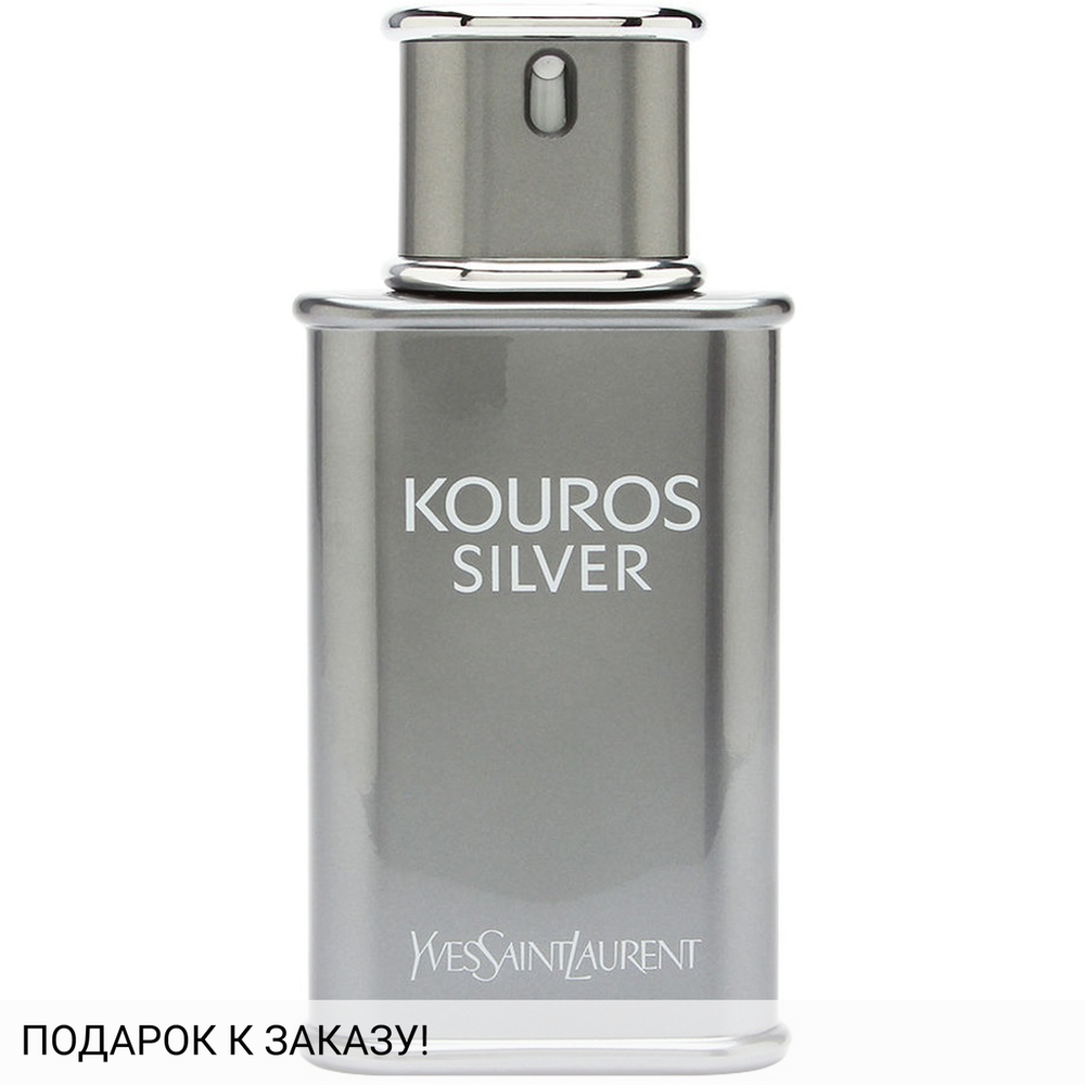 Yves Saint Laurent Kouros Silver
