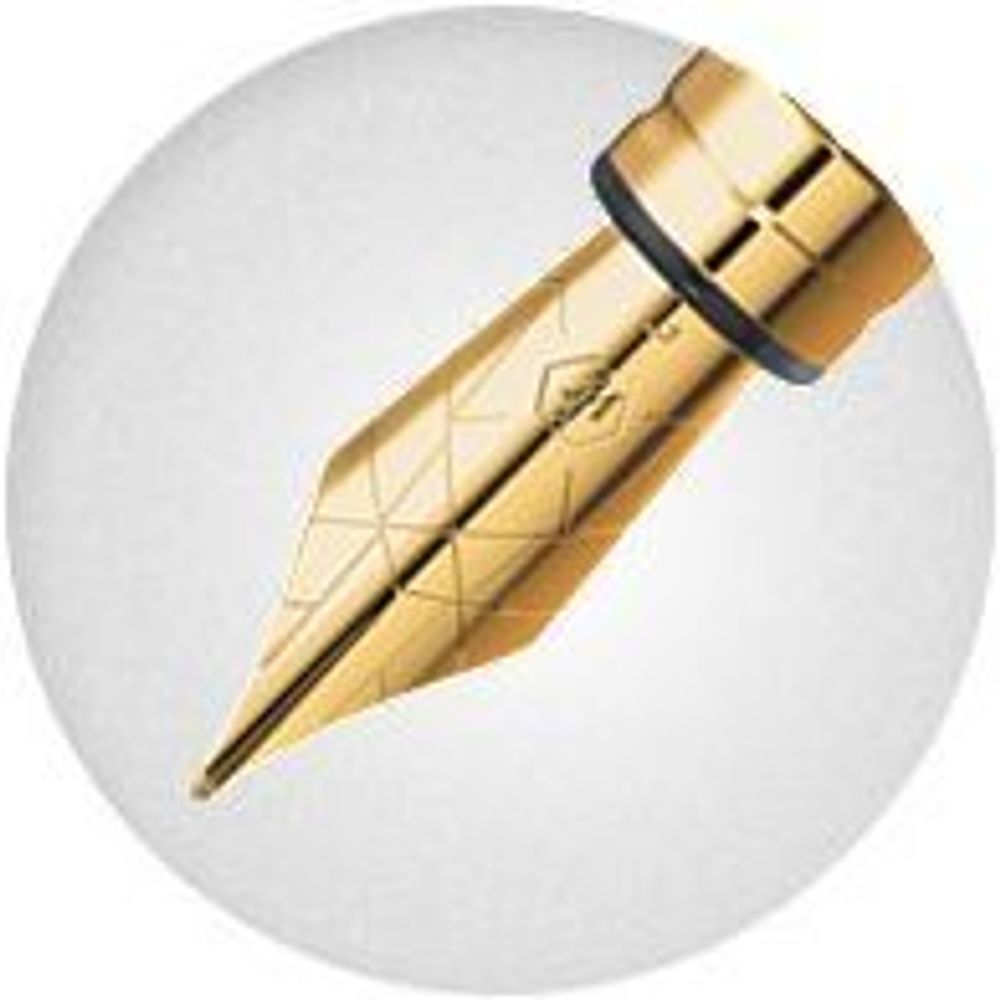 Перо Waterman Perspective