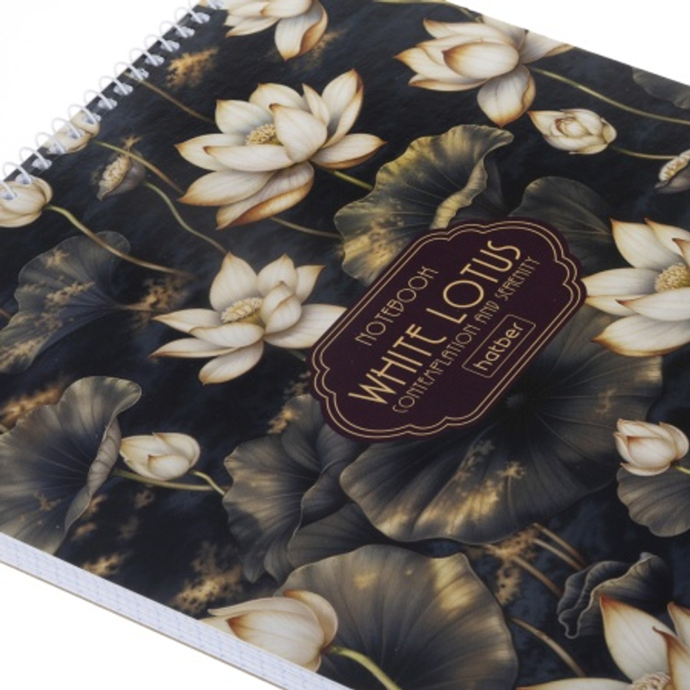 lm30p3jh4w9pz0612gwp2axhsoik3lm5