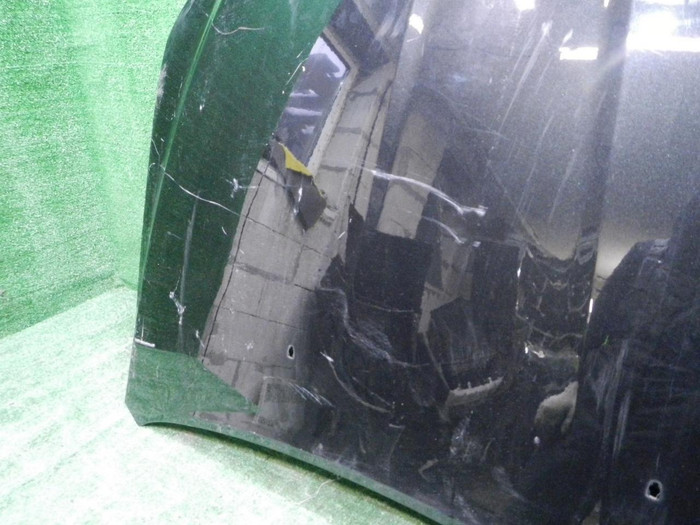 DSCN4650.JPG