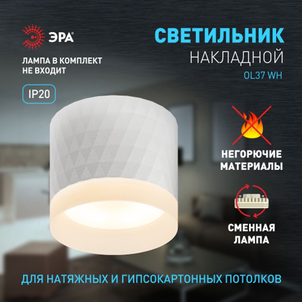 Светильник настенно-потолочный спот ЭРА OL37 WH под GX53 IP20 белый