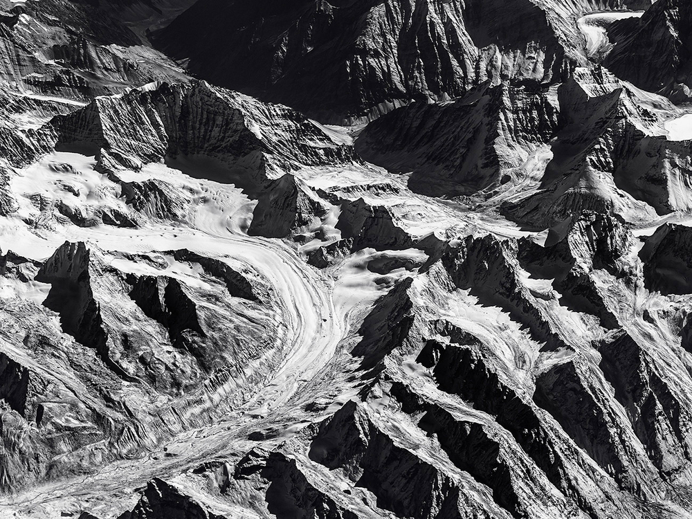 Дизайнерские обои Wall Street Bird see