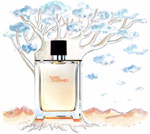 Hermes Terre D'Hermes Parfum