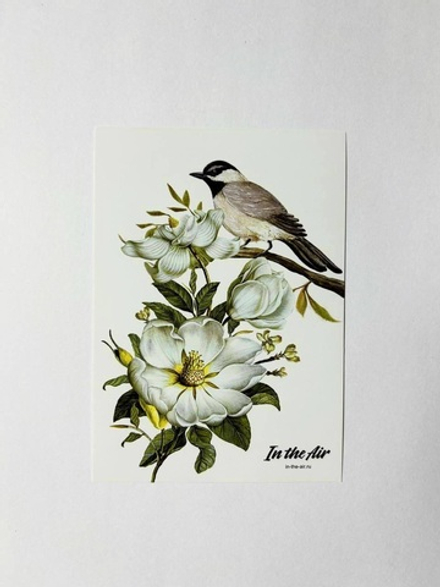 Открытка к букету «Птичка»