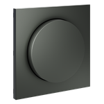 Накладка для светорегулятора поворотно-нажимного, S70 (титан)