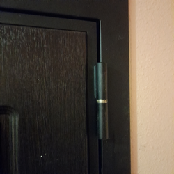 Входная металлическая дверь  с зеркалом RеX (РЕКС) Премиум 3К Венге (Гладиатор)/ Пастораль Сандал белый