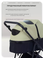 Коляска трансформер Rant Basic Ventura Green