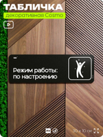 Табличка Режим работы по настроению, шуточная прикольная табличка на дверь в комнату, декор для интерьера, серия COSMO DECOR, 30х10 см, Айдентика Технолоджи