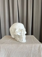 Статуэтка - Скульптура Череп для интерьера и декора