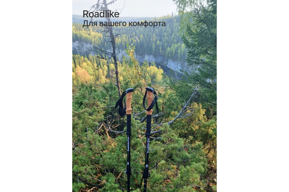 Палки для треккинга RoadLike Carbon Черный