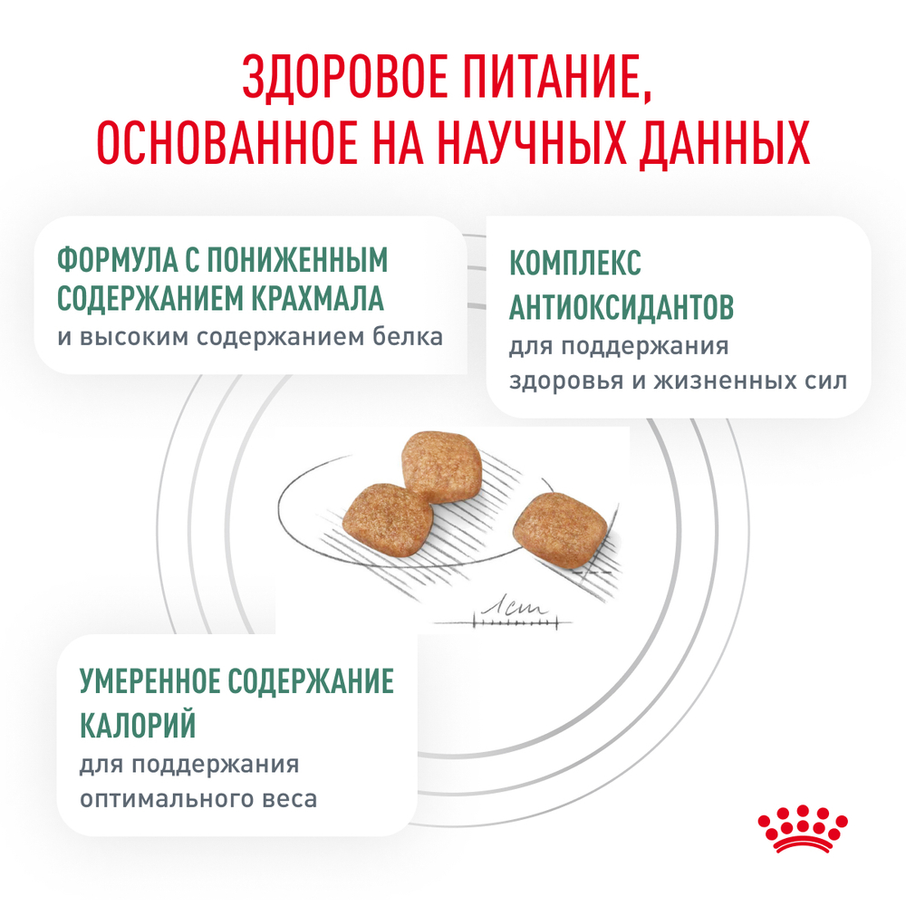 Сухой корм Royal Canin DIABETIC (ДИАБЕТИК) диетический для взрослых кошек при сахарном диабете - 1,5 кг