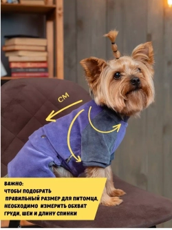 Комбинезон костюм для собак и кошек