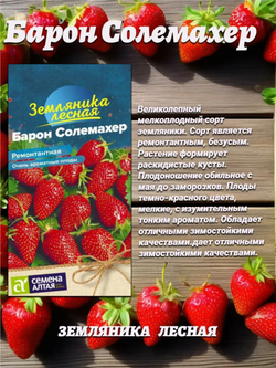 Лесная земляника для посадки: Али-Баба, Крем-Брюле и Барон Солемахер