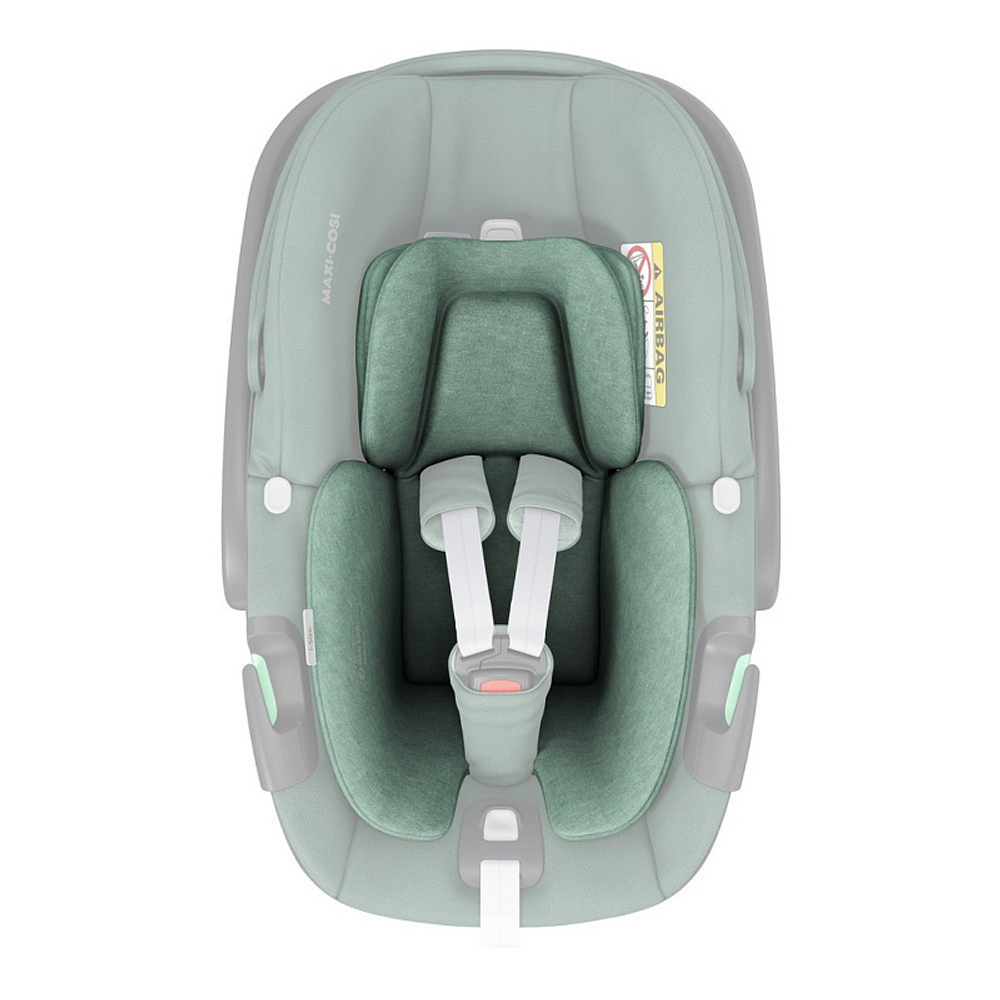 Автокресло Maxi-Cosi Pebble 360 с базой Family Fix 360 Essential Green