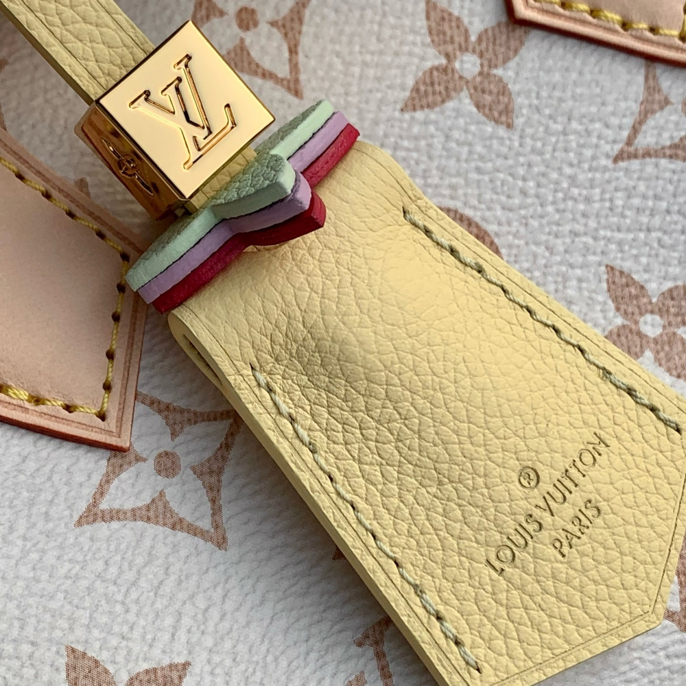 Louis Vuitton Speedy 18