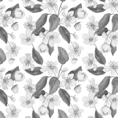 Яблоневый цвет. Vintage botanical pattern.