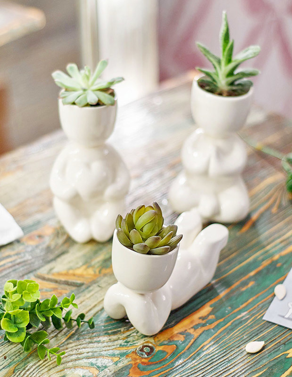 Набор для выращивания eco Мечтатель